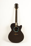 RainSong WS1000