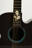 RainSong WS1000