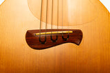Tacoma Papoose P1E Custom High-Tuned