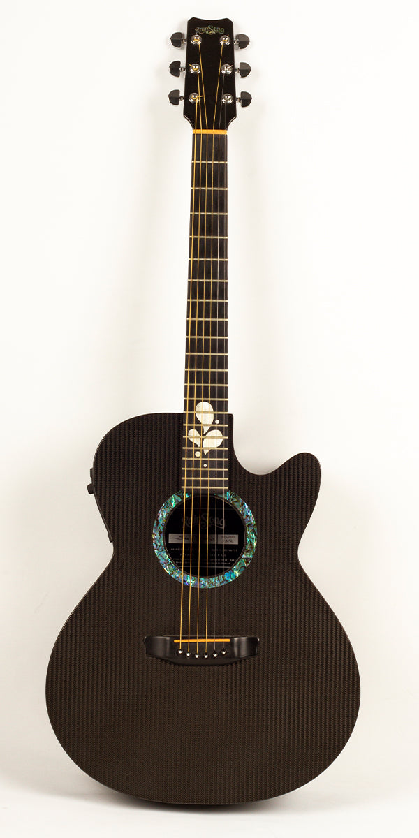 RainSong WS1000 – Acoustic Guitar
