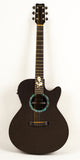 RainSong WS1000