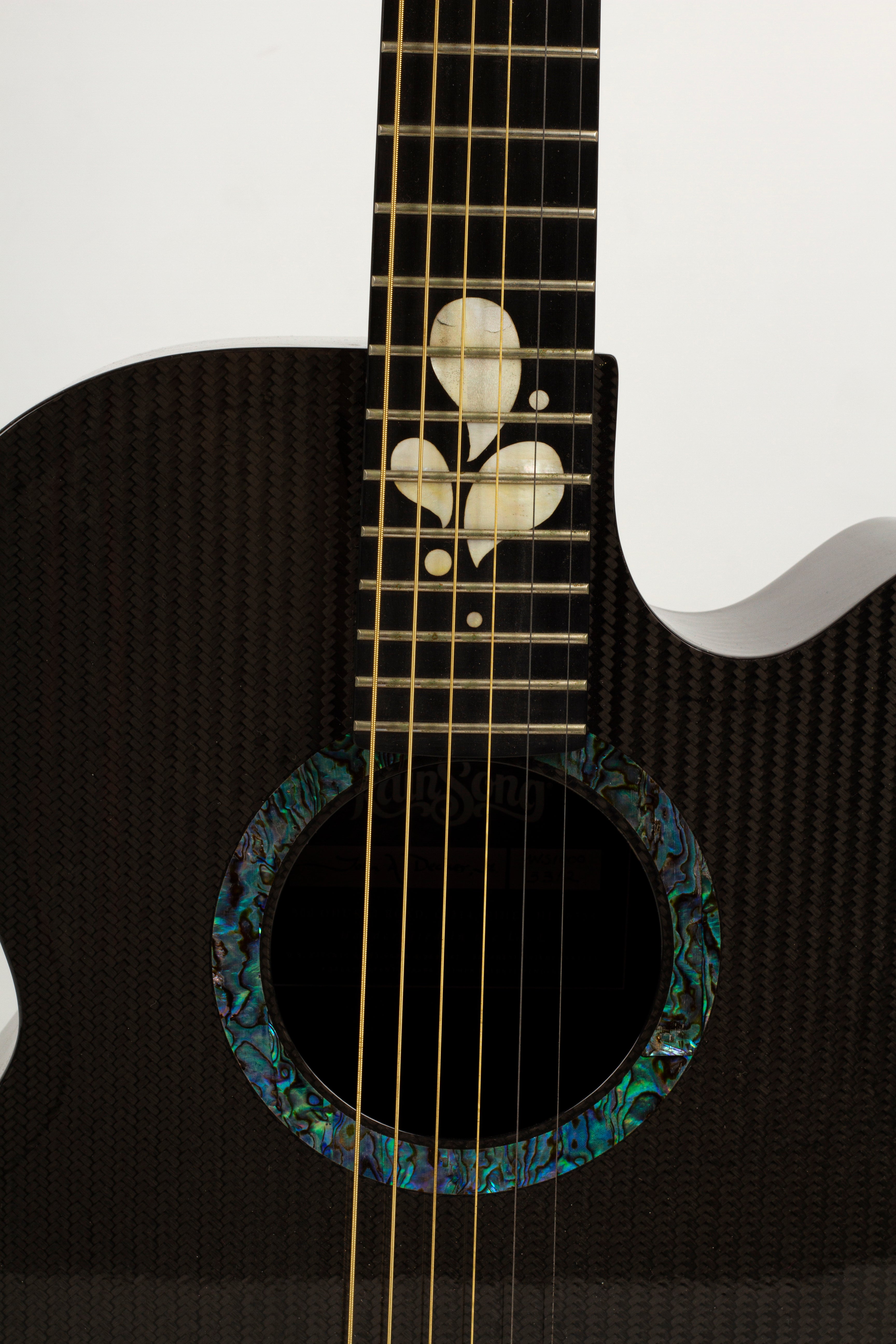 RainSong WS1000 – Acoustic Guitar