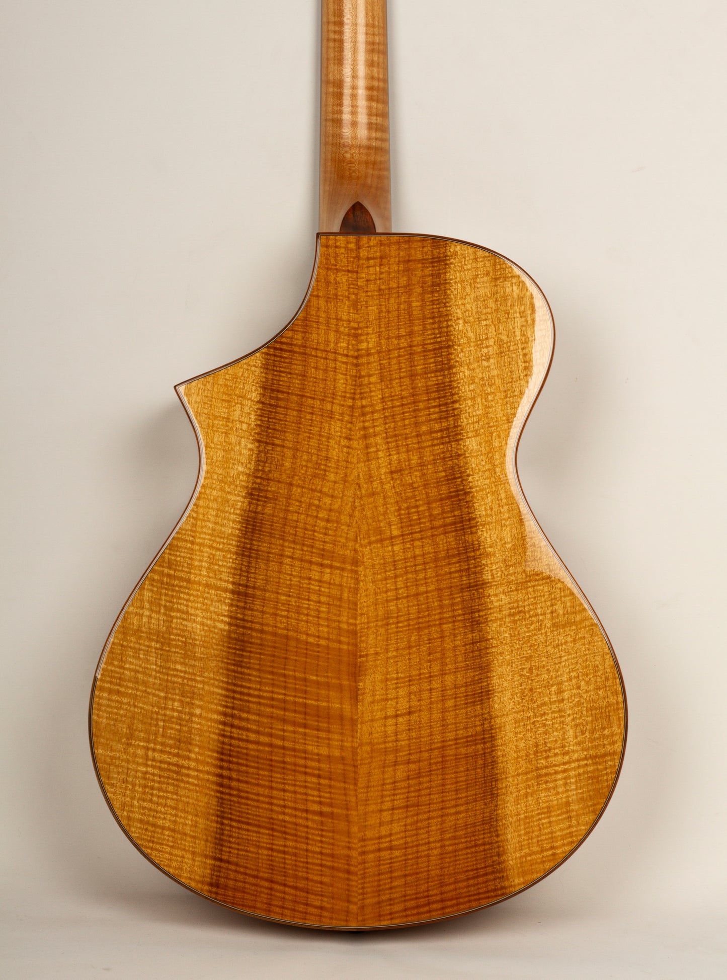 Breedlove C22
