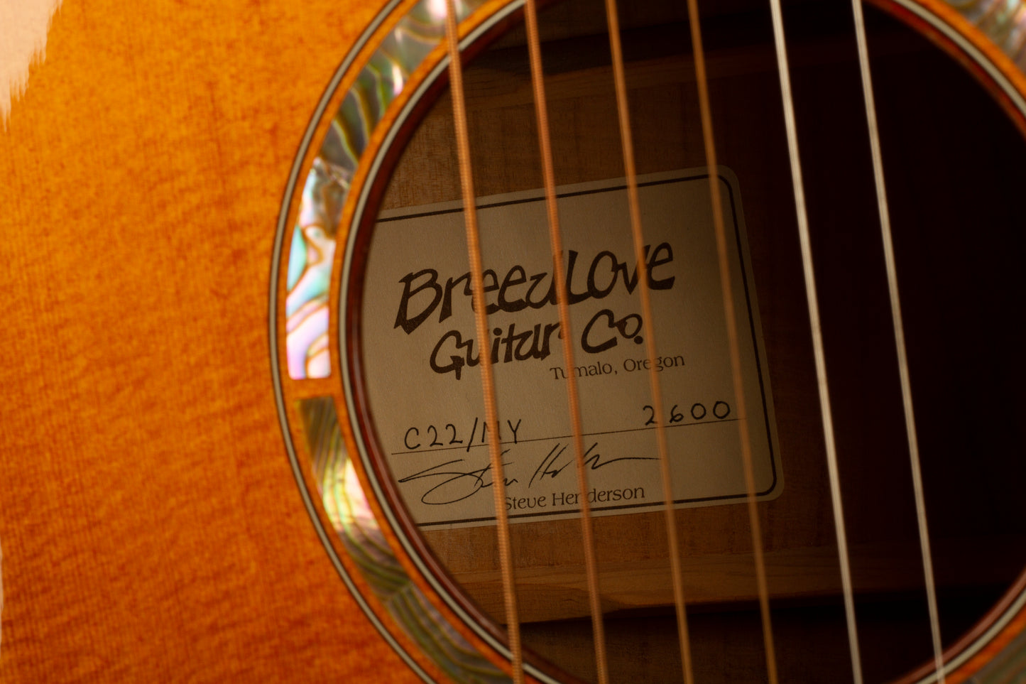 Breedlove C22